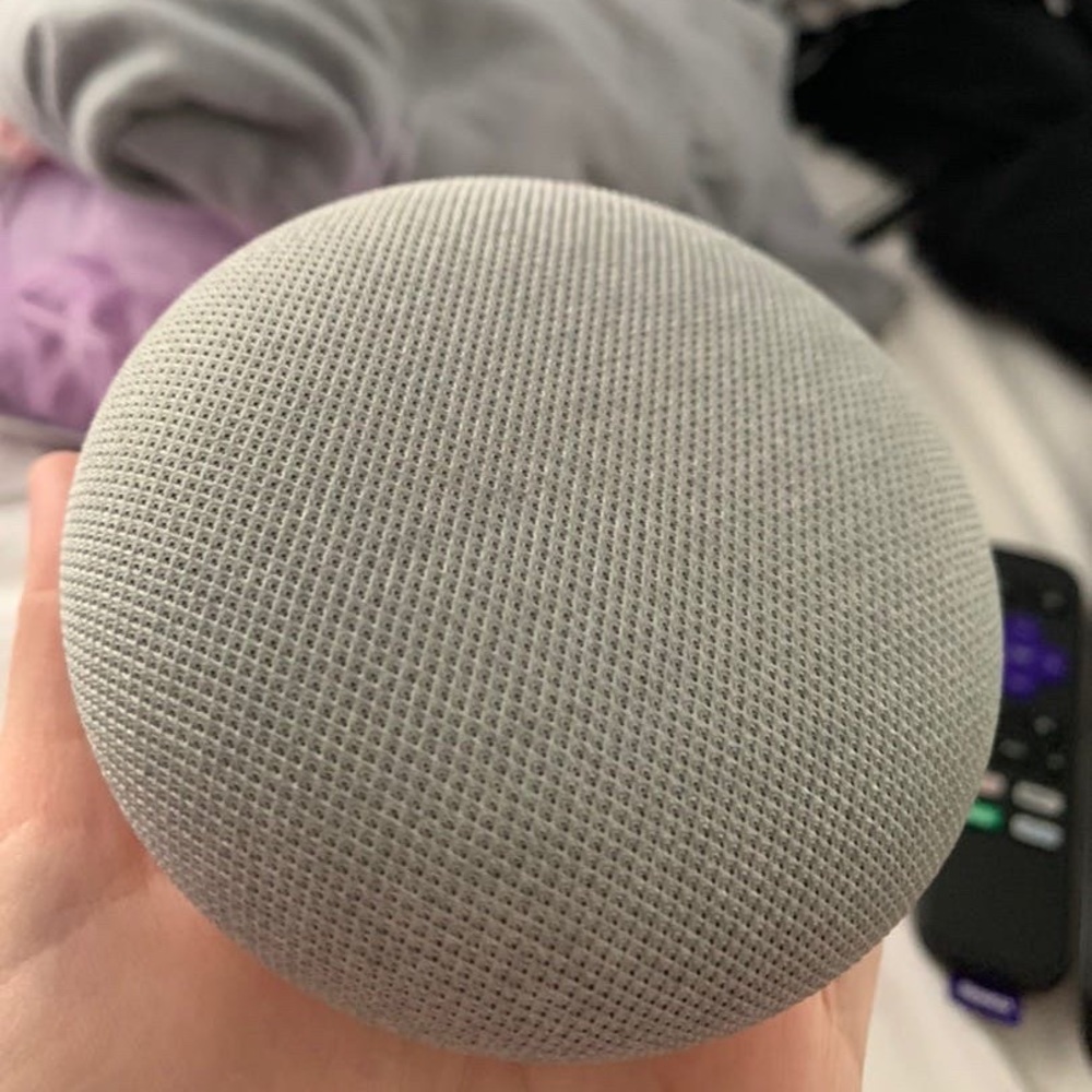 google home